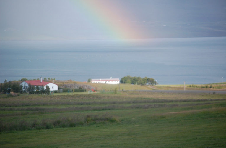 Joshua: Is he really my true Valentine? Love and PTSD.