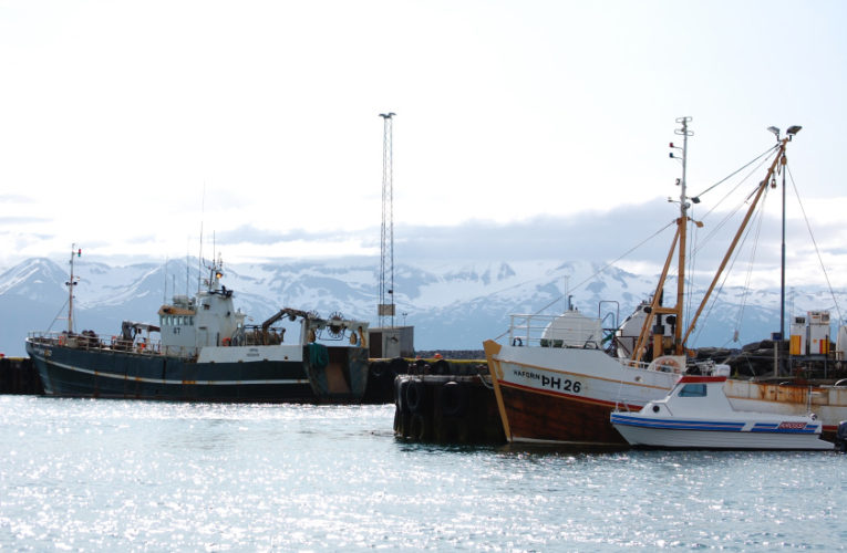 Joshua: Woman/wife/mother: PTSD + suicidal thoughts