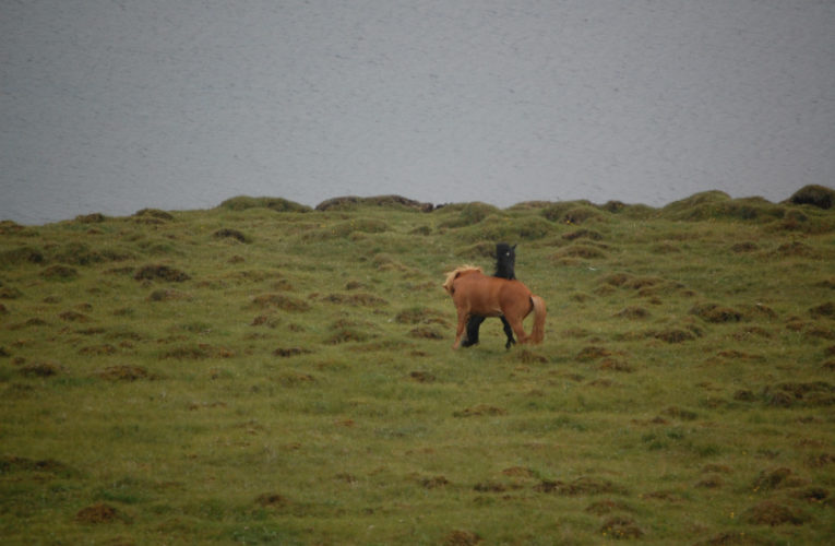 Joshua: The Battle for Harmony When Living With PTSD