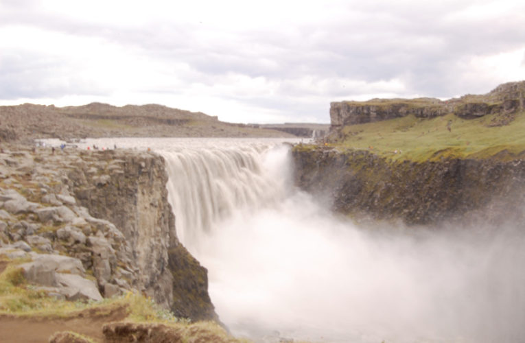 Joshua: Help! I’m a lost little amoeba in this big PTSD ecosystem